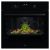 Aeg OS6AB50AK Fully programmable Multifunction oven, Touch control